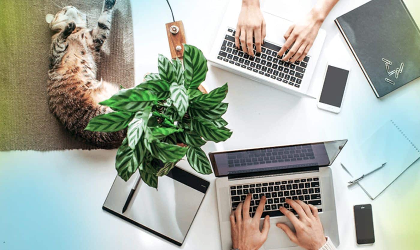Two individuals are typing on their laptops