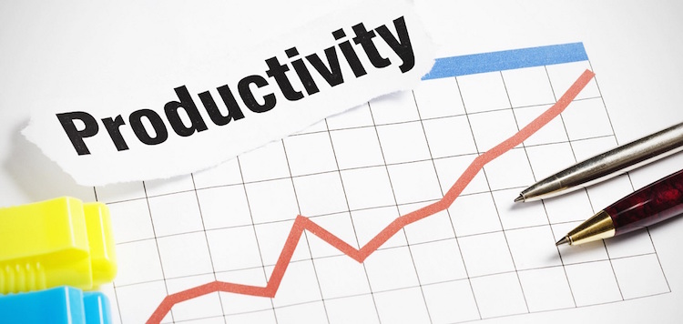 Productivity Growth