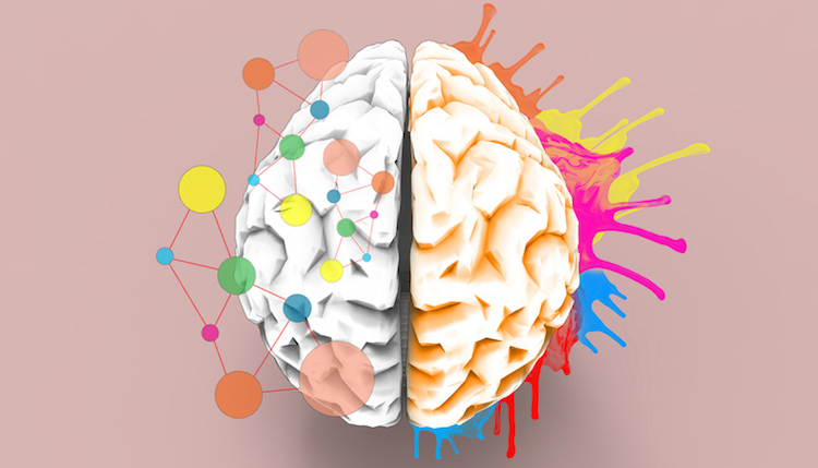 colorful brain