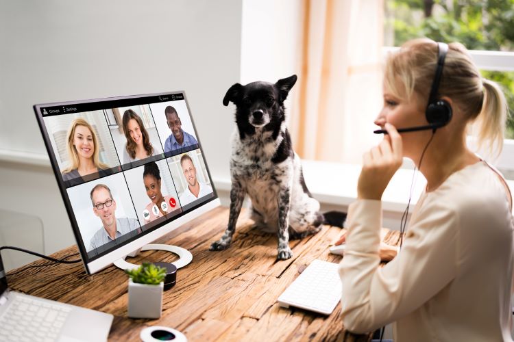 Allow Pets During Virtual Meetings