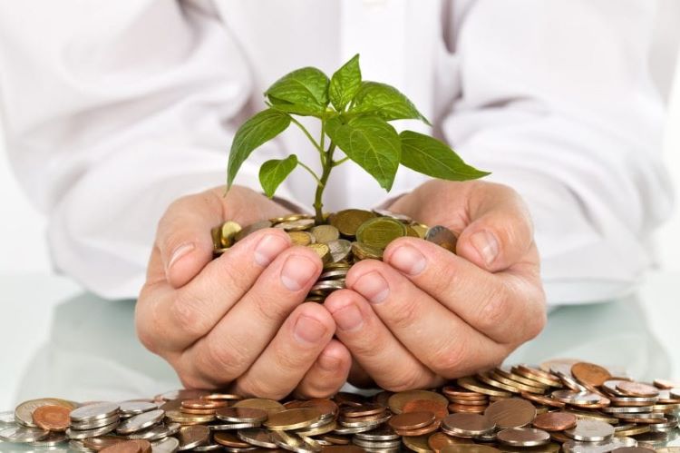 hands holding a sapling with coins for soil
